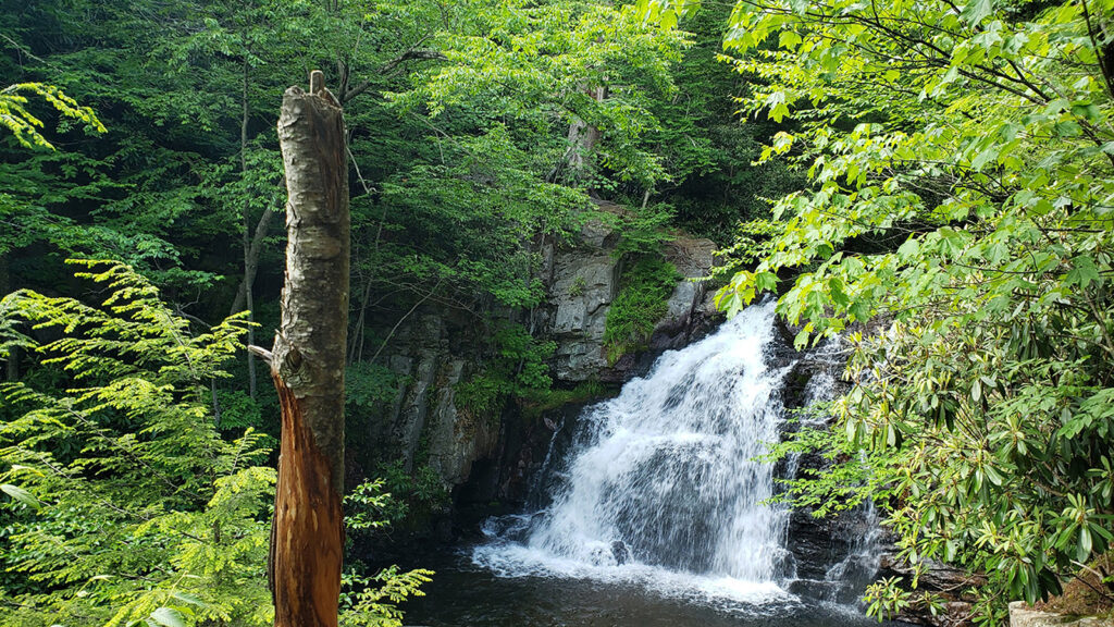 Hawk Falls featured photo for Pennsylvania Falls Here.
