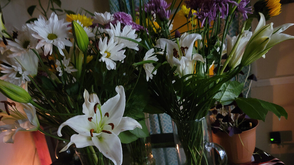 Additional Lillies photo for Pennsylvania Falls Here.