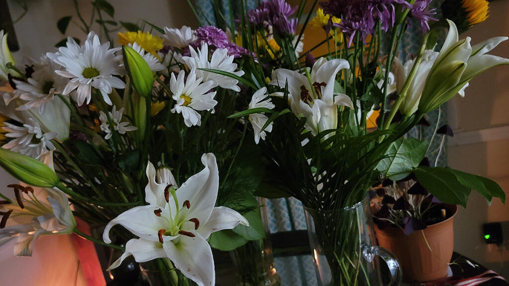 Additional Lillies photo for Pennsylvania Falls Here.