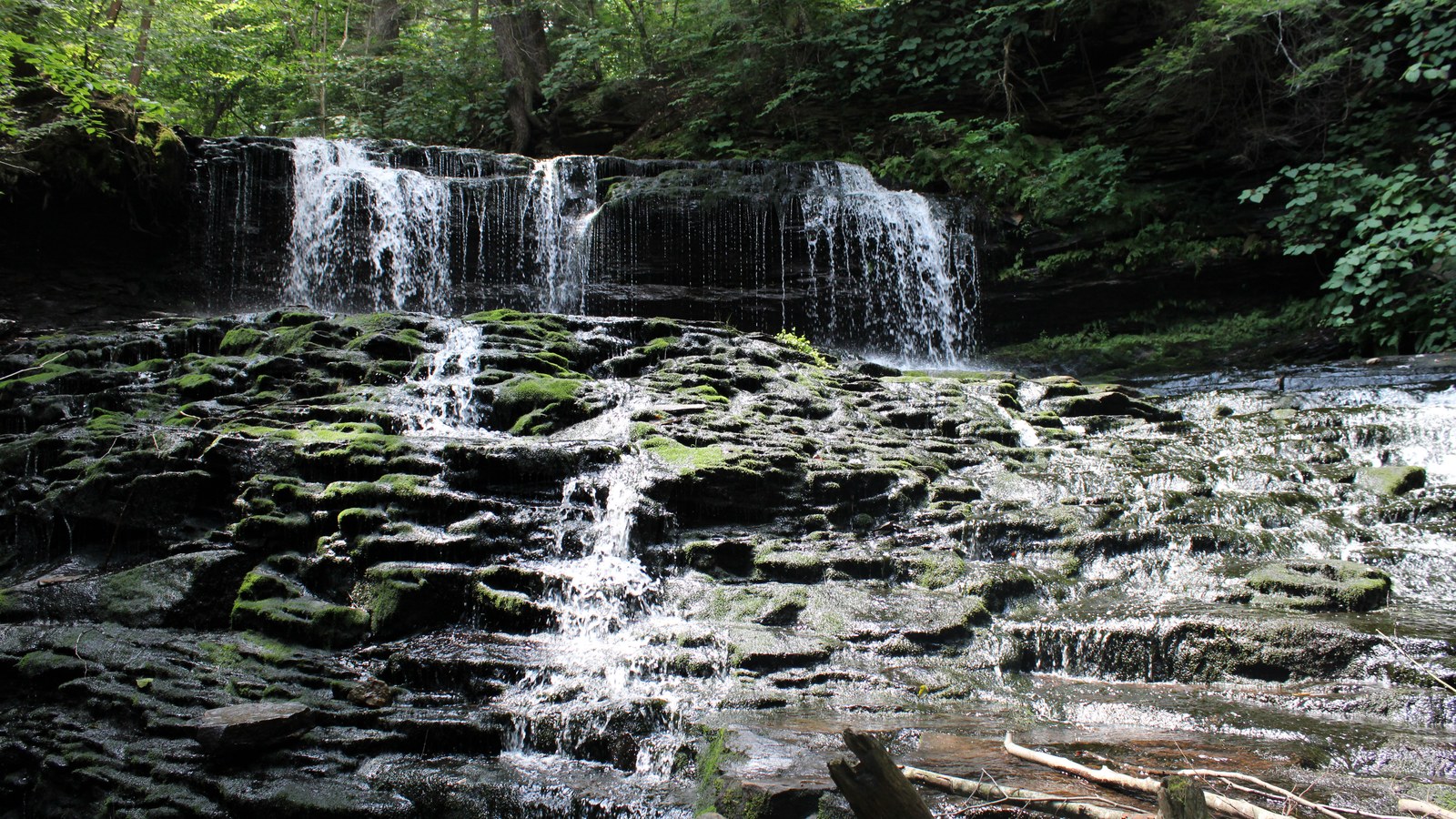 Cascading water and rock shelves along the Ricketts Glen Falls Trail.