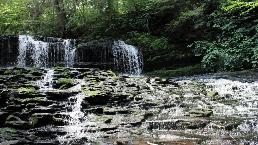 Tiered waterfall and rock ledges at Ricketts Glen State Park in Pennsylvania.