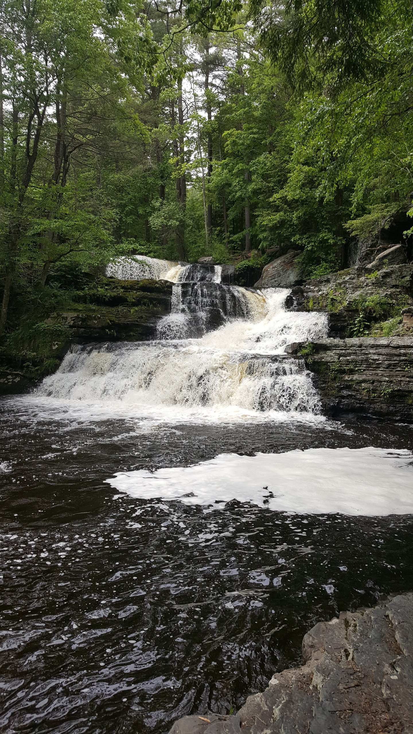 Tiered waterfall cascading over dark rock ledges into a foamy pool beneath tall green trees.