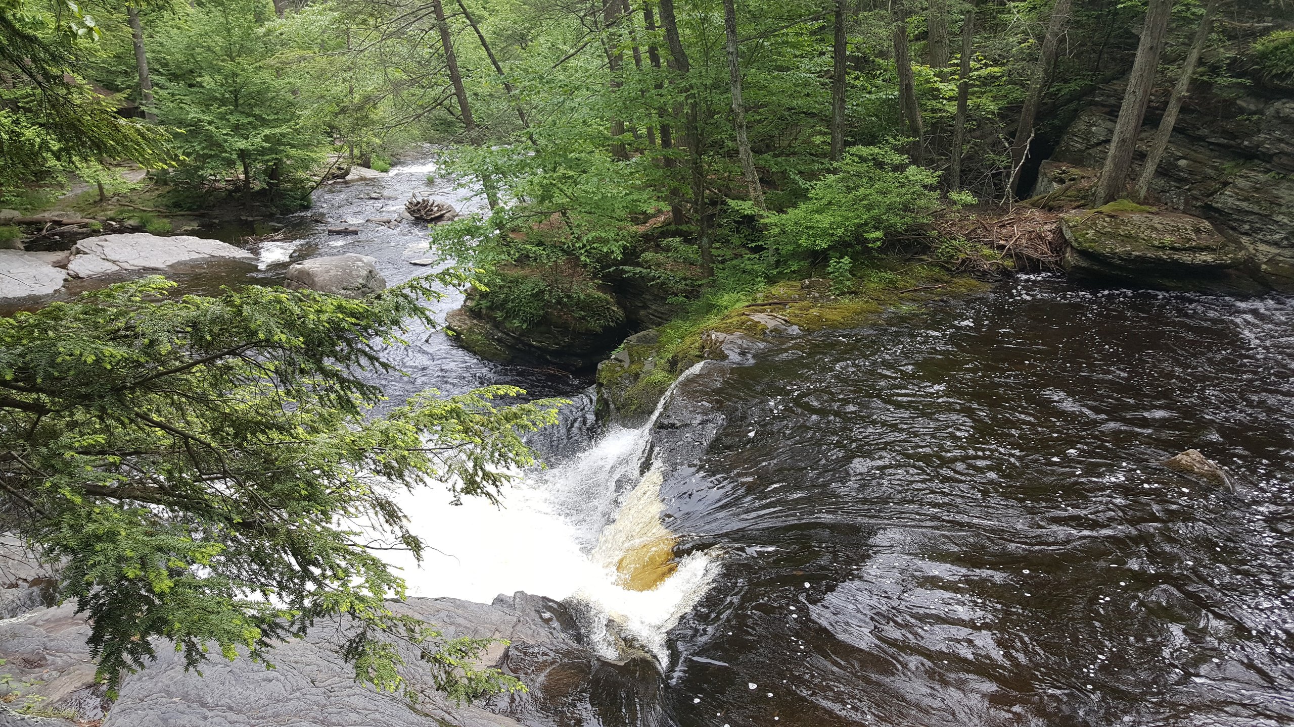 View from above a waterfall as the creek flows through mossy rock and dense forest.