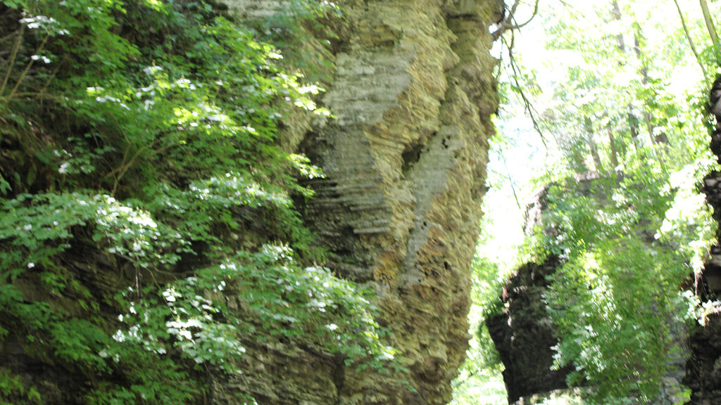 Green rock gorge scenery along the Watkins Glen trail in New York.